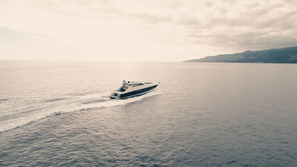 Luxury Charter Madeira yacht boat dolphins whales